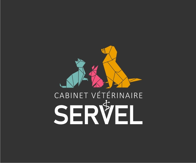 Cabinet_servel