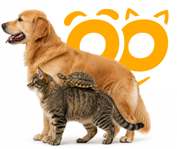 animal_family