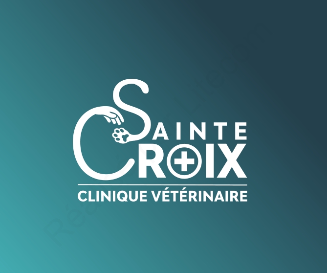 clinique_sainte_croix