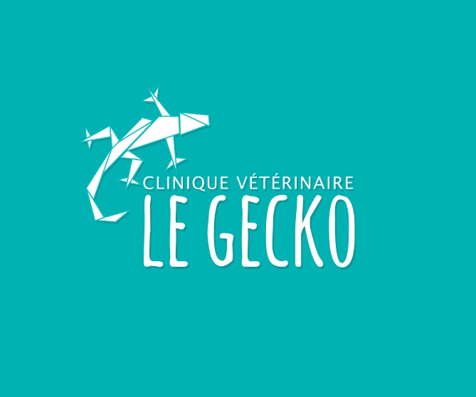 gecko